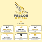 ⁦اشتراك فالكون برو FALCON سنة⁩ - الصورة ⁦3⁩