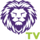 Lion IPTV -  ليون IPTV